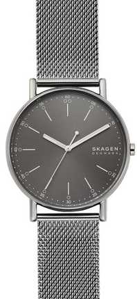 

Мужские наручные часы Skagen SKW6577
