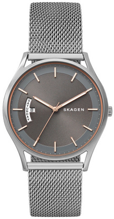 

Мужские наручные часы Skagen SKW6396