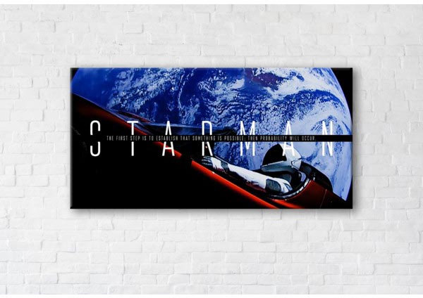 

Картина на холсте IBR Starman 90x180 см