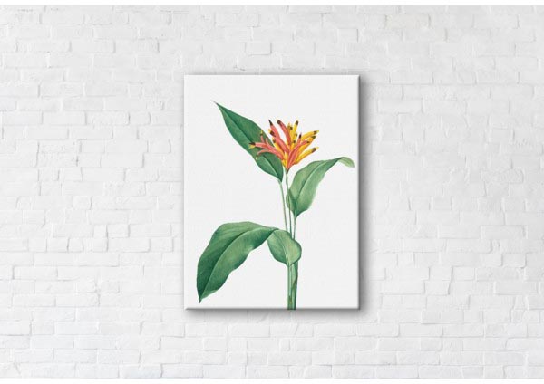 

Картина на холсте IBR Tropical Flower 50x65 см
