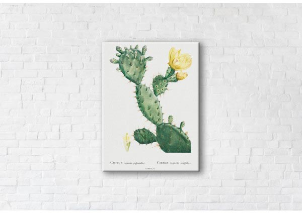 

Картина на холсте IBR Cactus Yellow 90x120 см