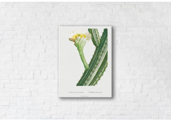 

Картина на холсте IBR Cactus 90x120 см