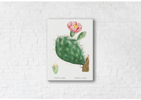 

Картина на холсте IBR Cactus Pink 45x60 см