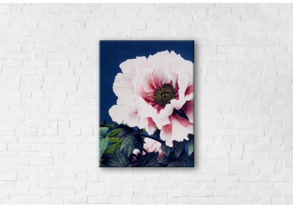 

Картина на холсте IBR Poppy 110x145 см