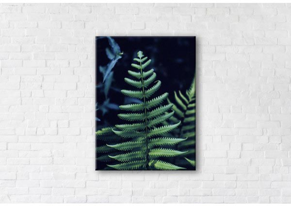 

Картина на холсте IBR Bracken Fern 110x145 см