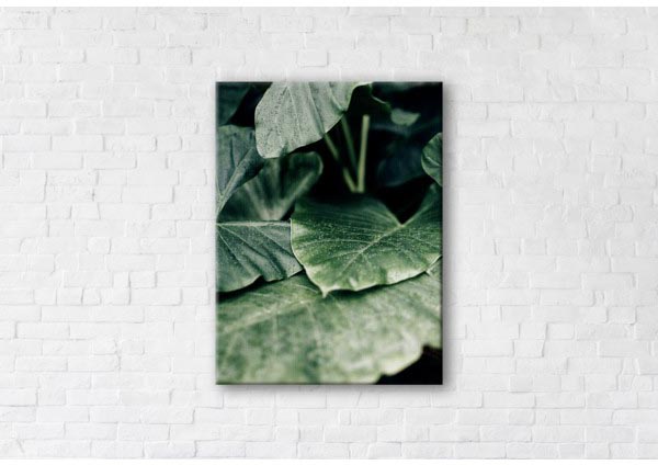 

Картина на холсте IBR Freshness 75x100 см