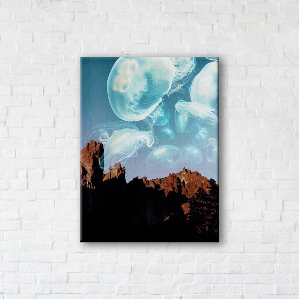 

Картина на холсте IBR Jellyfishes 50x65 см