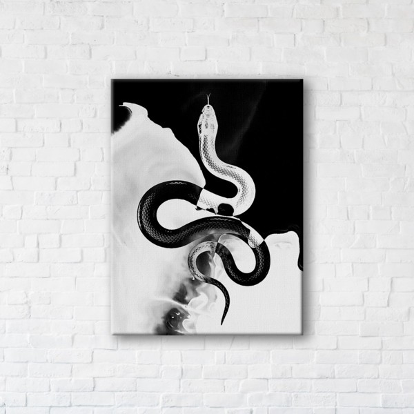 

Картина на холсте IBR Yin Yang Snake 45x60 см