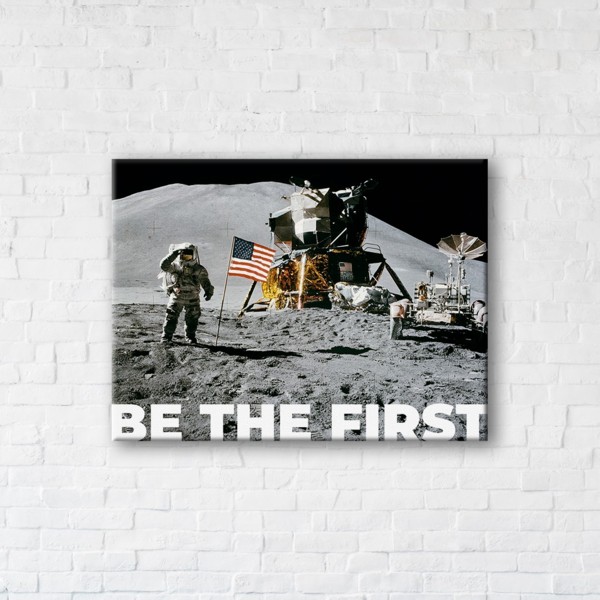 

Картина на холсте IBR Be The First 50x65 см