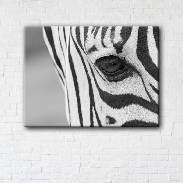 

Картина на холсте IBR Zebra 75x100 см