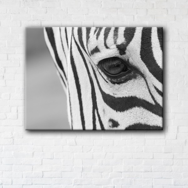 

Картина на холсте IBR Zebra 50x65 см