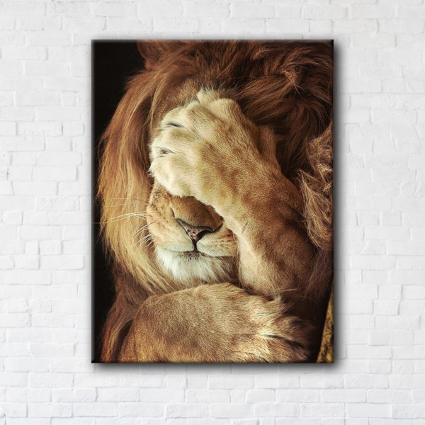 

Картина на холсте IBR Sleepy Lion 50x65 см