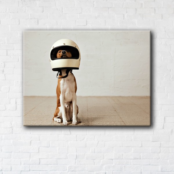 

Картина на холсте IBR Dog astronaut 75x100 см