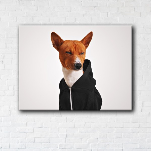 

Картина на холсте IBR Suspicious dog 50x65 см