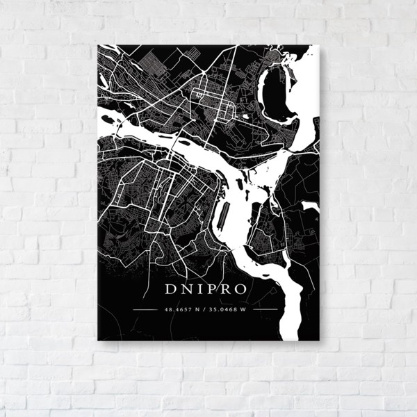 

Картина на холсте IBR Dnipro Black Map 45x60 см