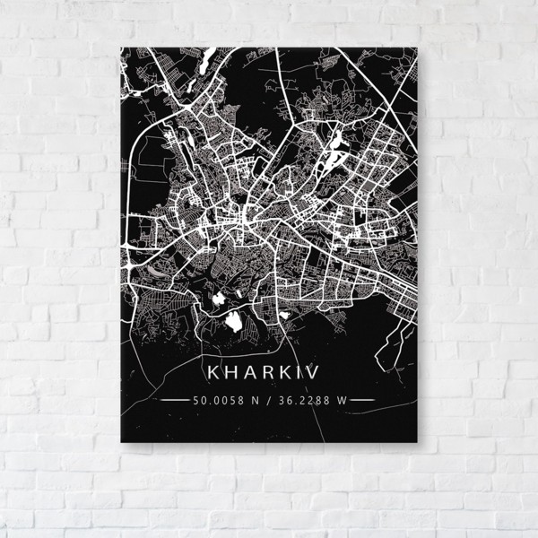 

Картина на холсте IBR Kharkiv Black Map 50x65 см