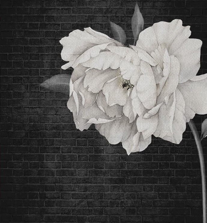 

Фотообои WS Wallpaper Пионы 340*265 (5150120193)