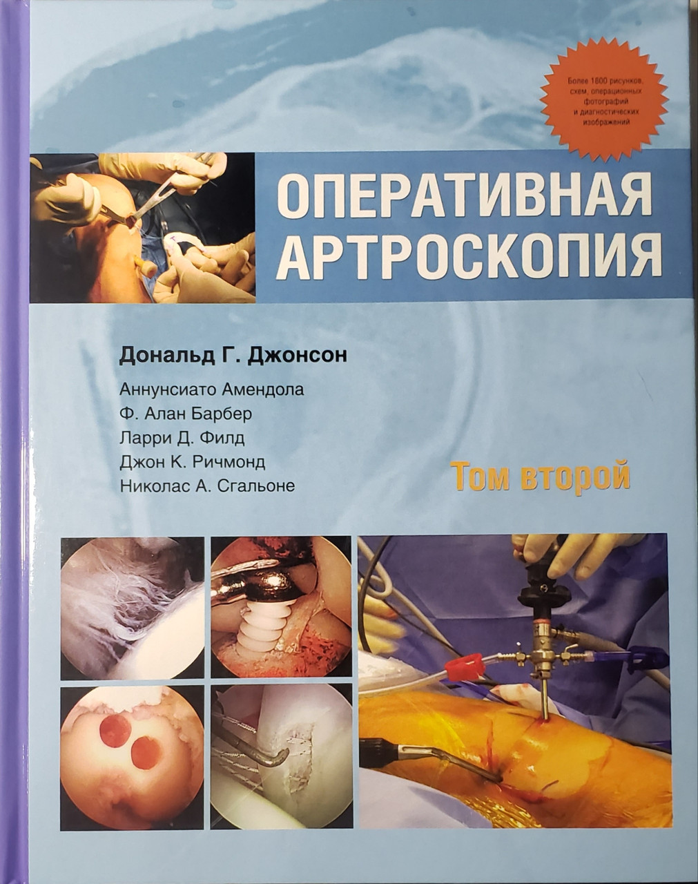 

Джонсон Дональд Г., Амендола Аннунсиато, Барбер Алан Ф. Оперативная артроскопия. Том 2 (978-5-91839-065-8) Изд. Панфилова