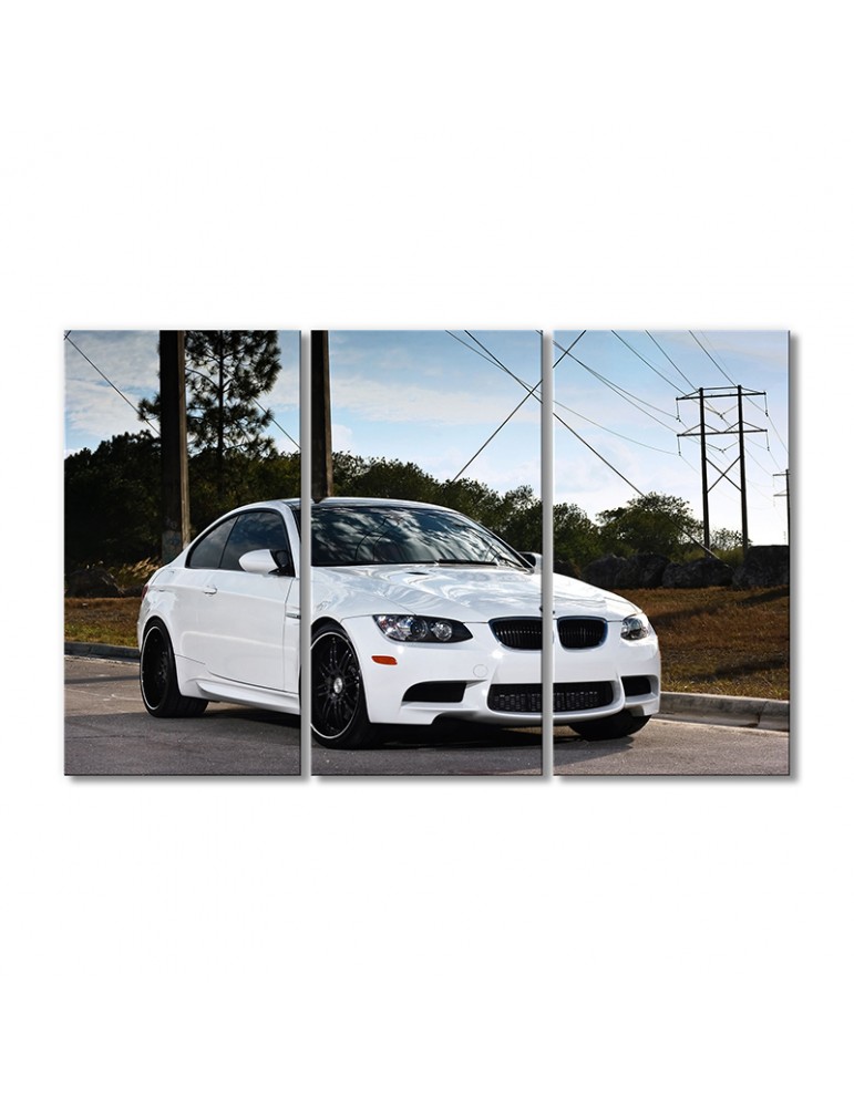 

Модульная картина Artel «БМВ M3 BBS» 3 модуля 120x180 см