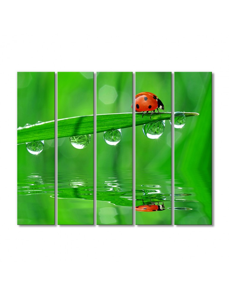 

Модульная картина Artel «Божья коровка и капли» 5 модулей 70x105 см