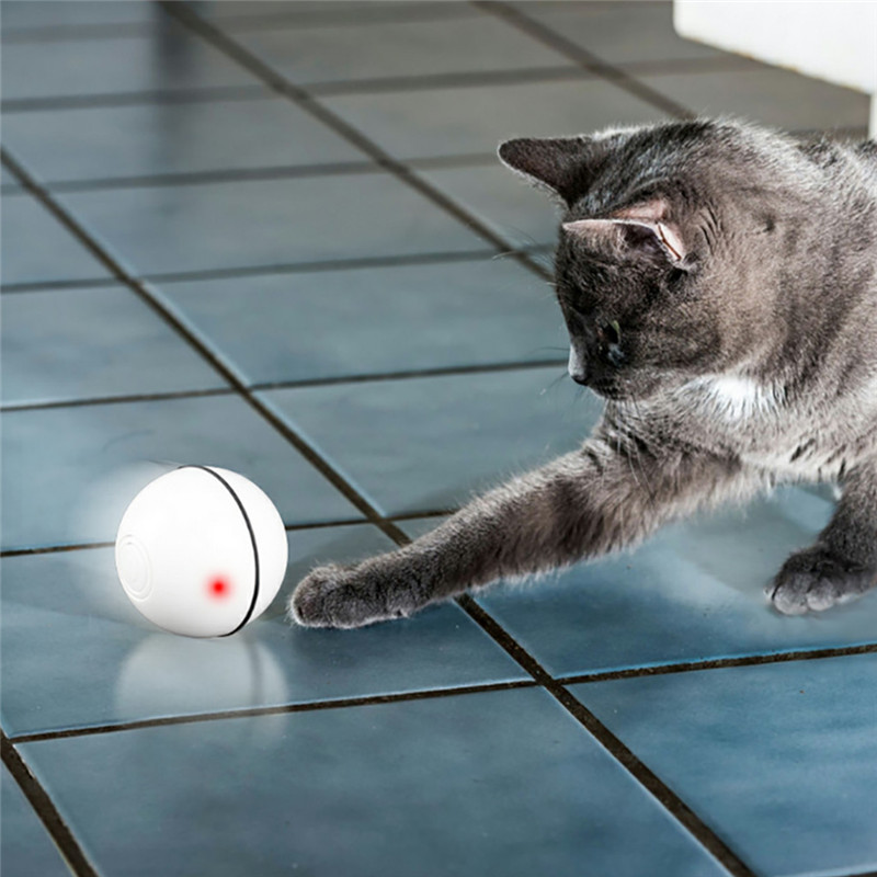 

Самостоятельно вращающийся мяч для кошек Seuno Cat toy ball 2.0 (GS289)