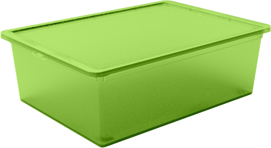 

Контейнер для хранения с крышкой Qutu Light Box Transparent Green 25 л (LB TRANSPARENT с/к GREEN 25л.)