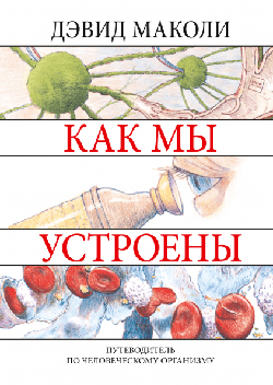 

Как мы устроены. Путеводитель по человеческому организму