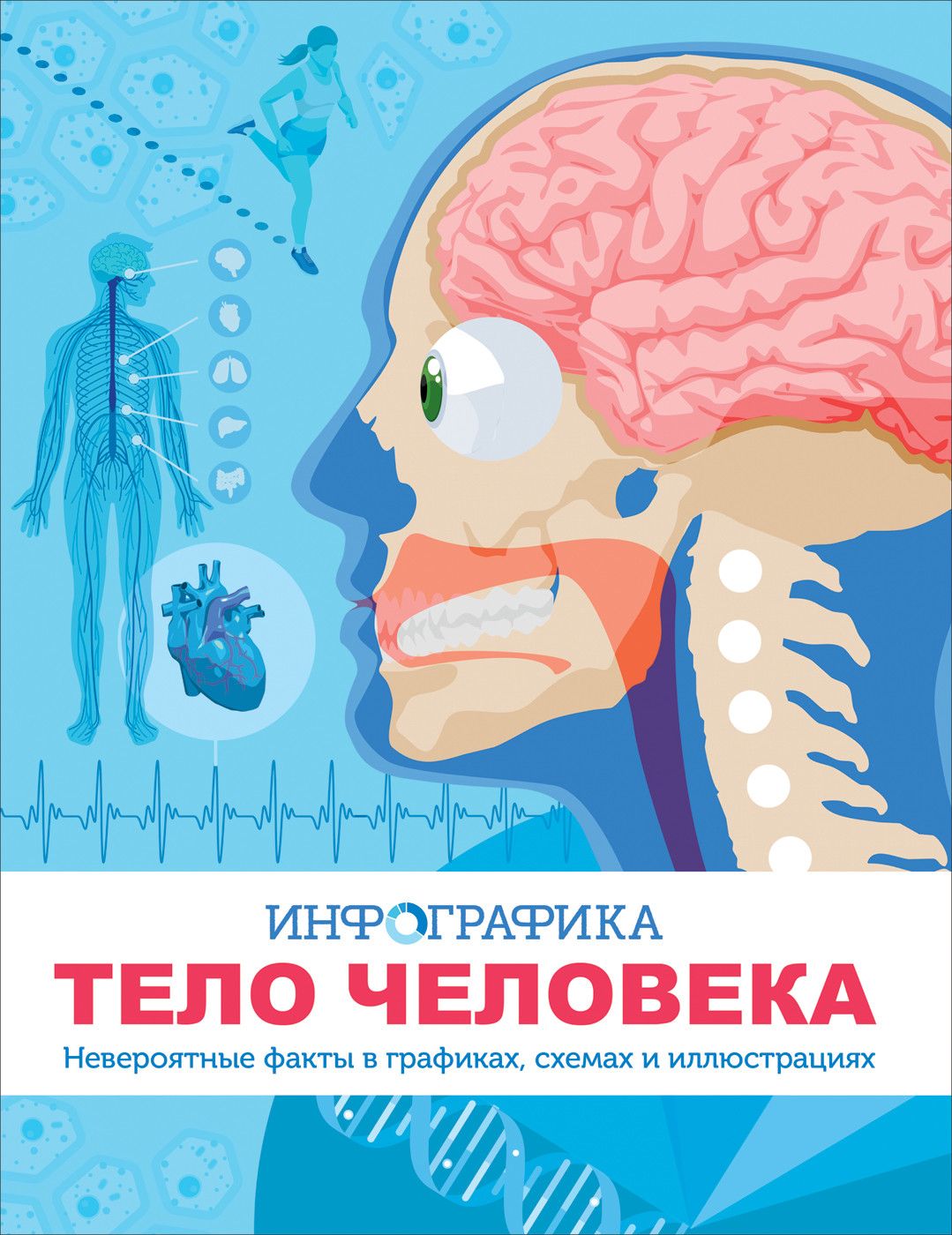 

Тело человека. Инфографика (18416232)