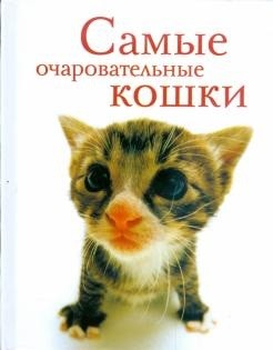 

Самые очаровательные кошки (18411270)