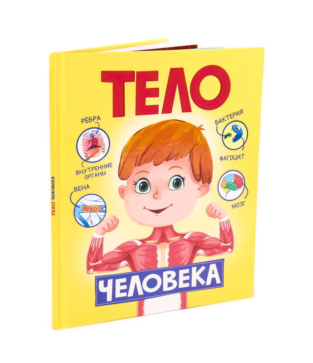 

Тело человека (18352655)