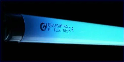

Люминесцентная лампа SunSun Т5 24W 550 мм Blue-Lux coral (голубая)