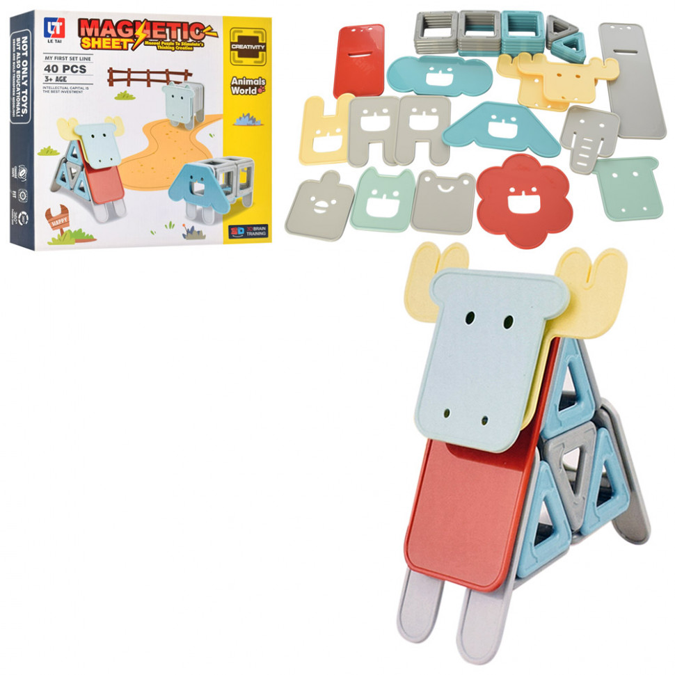 

Детский магнитный конструктор LT2006 , 40 деталей LE TAI