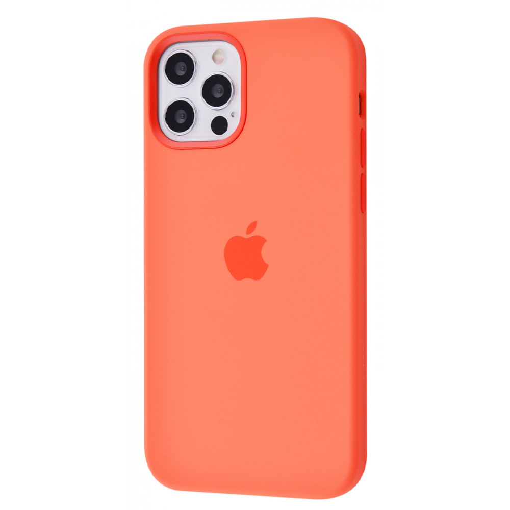 

Силиконовый чехол STR Silicone Case (OEM) (c MagSafe) iPhone 12 Pro Max - Pink citrus STR