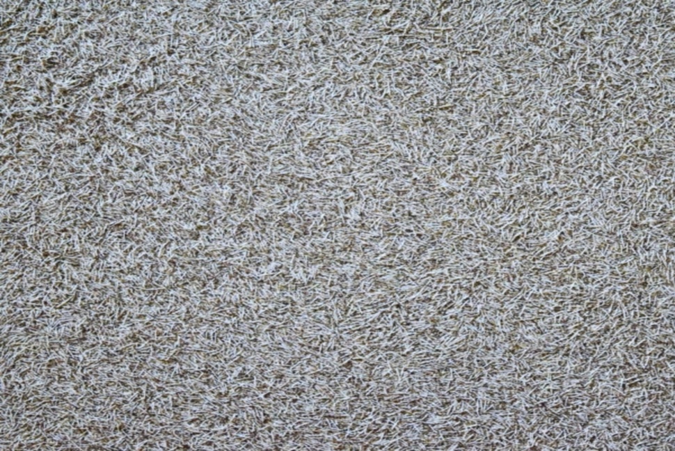 

Жидкие обои SilkPlaster Форт 515