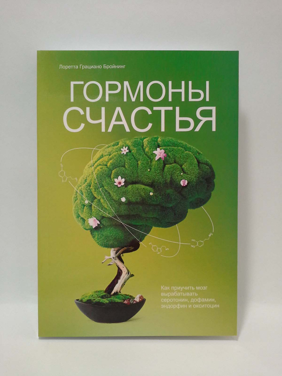 

Гормоны счастья. Как приучить мозг вырабатывать серотонин, дофамин, эндорфин и окситоцин. Лоретта Бройнинг
