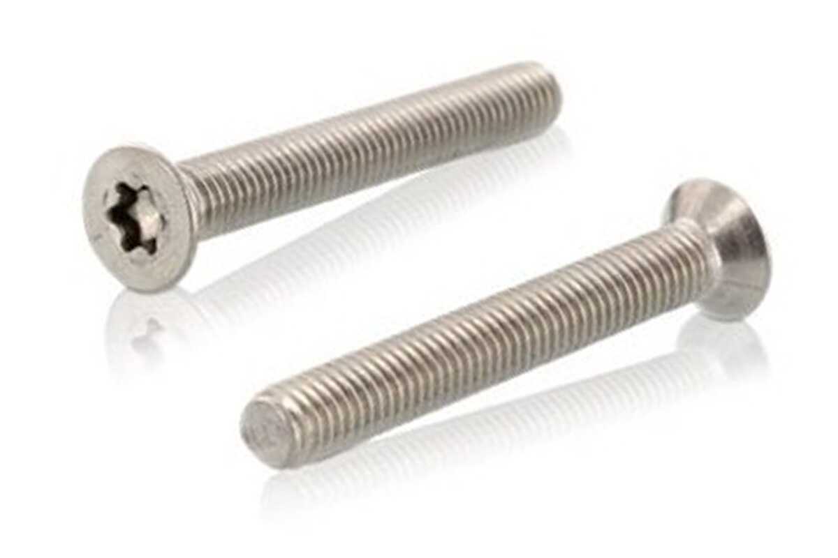 

Гвинт ISO 14581 M2,5x30 A4 TX8, 1000 шт.