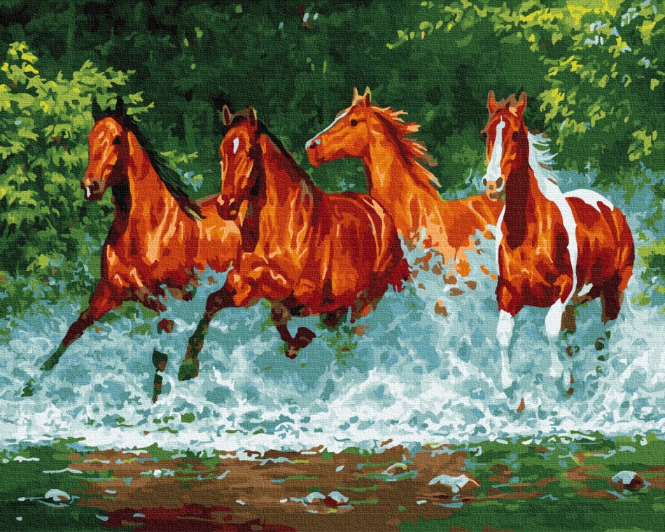 

Картина по номерам Бегущие по воде, 40x50 Rainbow Art (GX24774) (0096-1957)