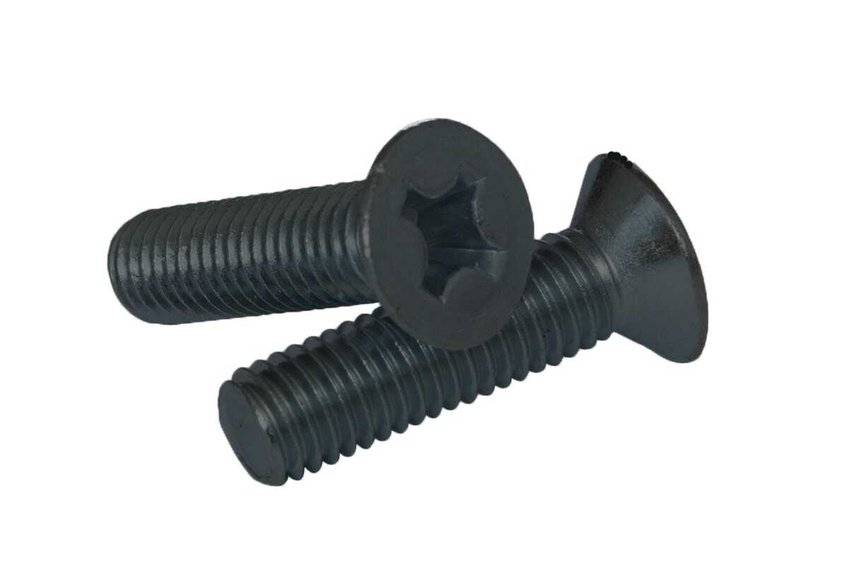 

Гвинт DIN 965 M4x10 4,8 PH2, 2000 шт.