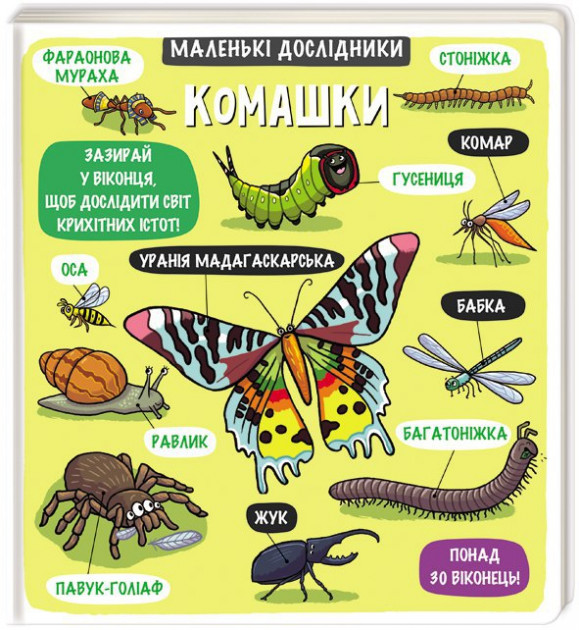 

Маленькі дослідники: Комашки - Тетяна Кузьменко (9786177563845)