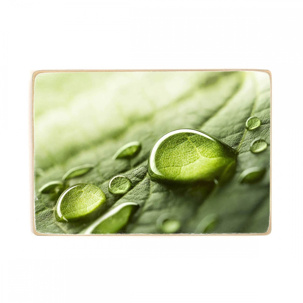 

Деревянный постер Природа Raindrops On A Leaf А2