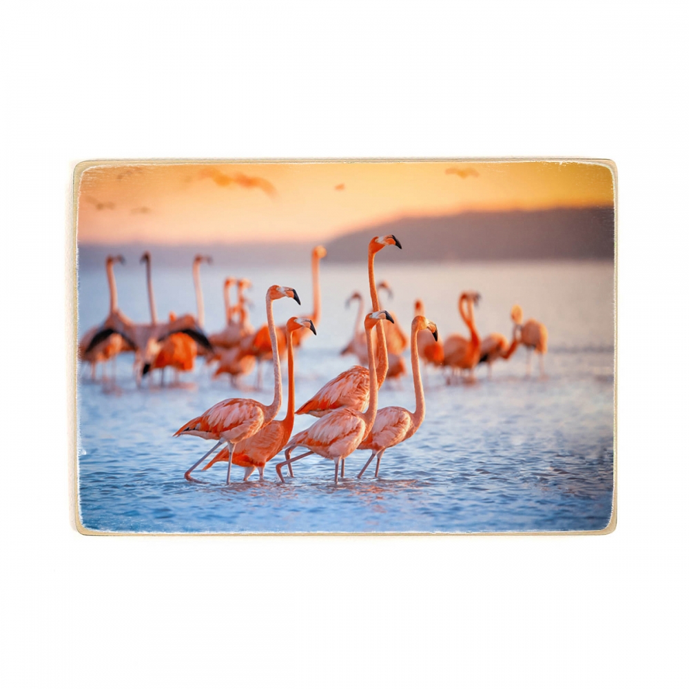

Деревянный постер Животные Flock Of Pink Flamingos А2