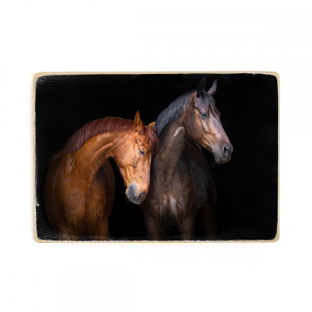 

Деревянный постер Животные Horse Love А1