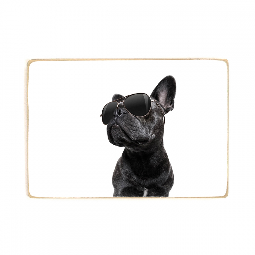 

Деревянный постер Животные French Bulldog With Glasses А1