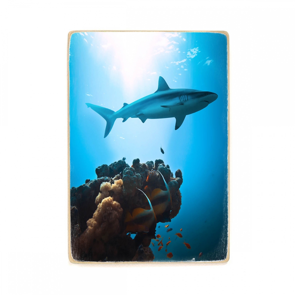 

Деревянный постер Животные Shark In The Blue Sea А1