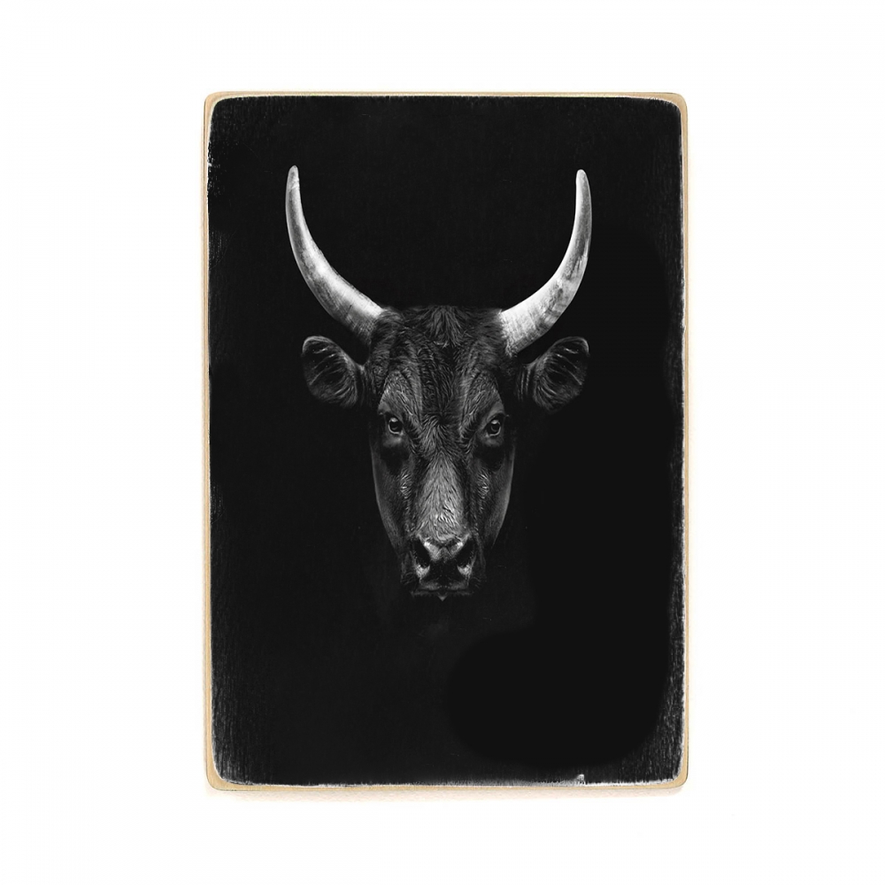 

Деревянный постер Животные Black Bull Portrait А2