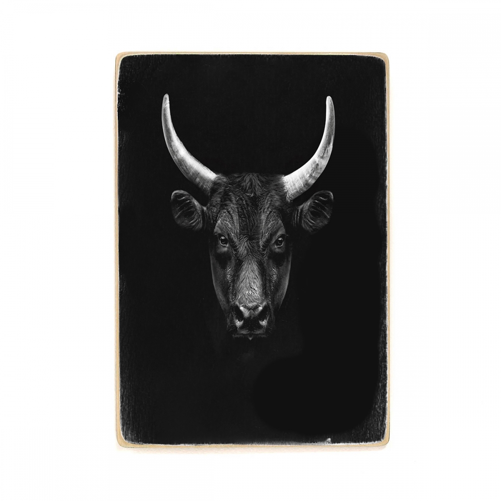 

Деревянный постер Животные Black Bull Portrait А1