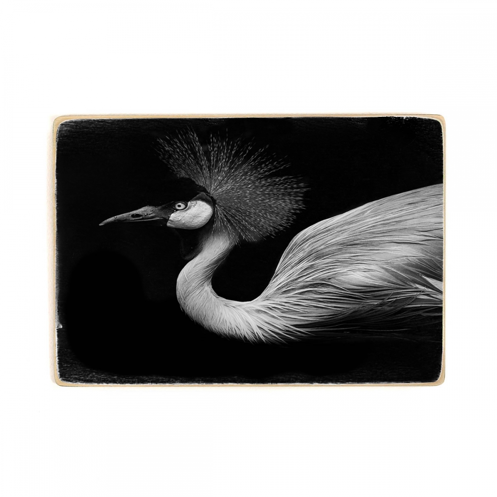 

Деревянный постер Животные Beautiful Flamingo А1