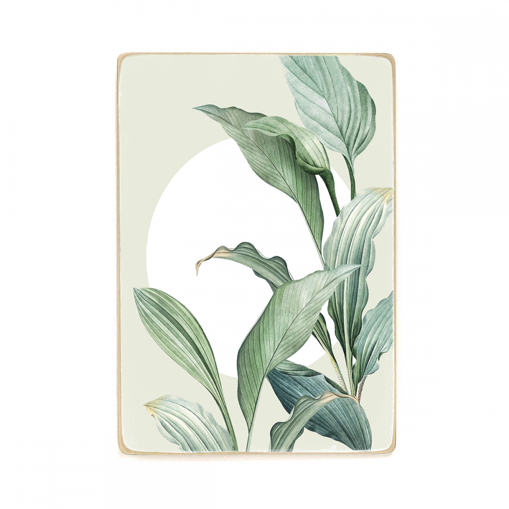 

Деревянный постер Природа Green Leaves А2