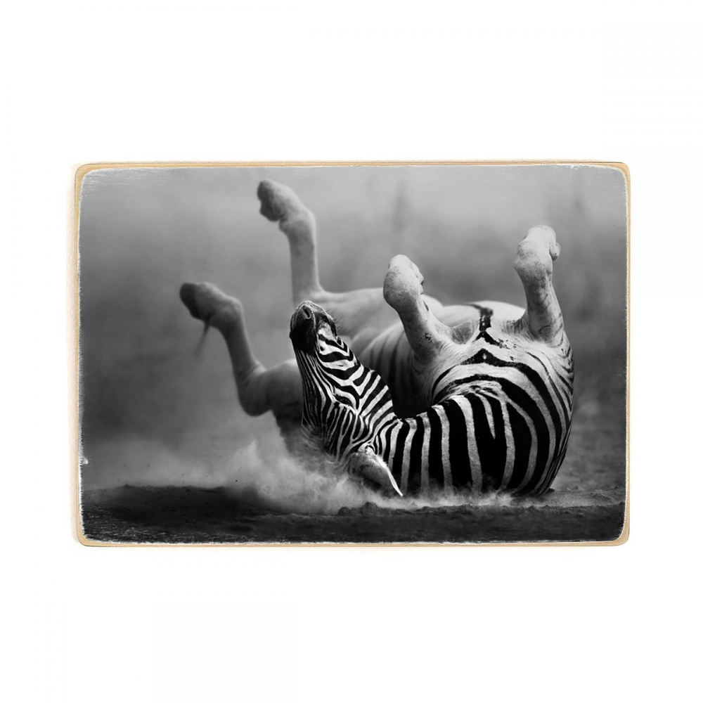 

Деревянный постер Животные Zebra Rides In Fervor А1