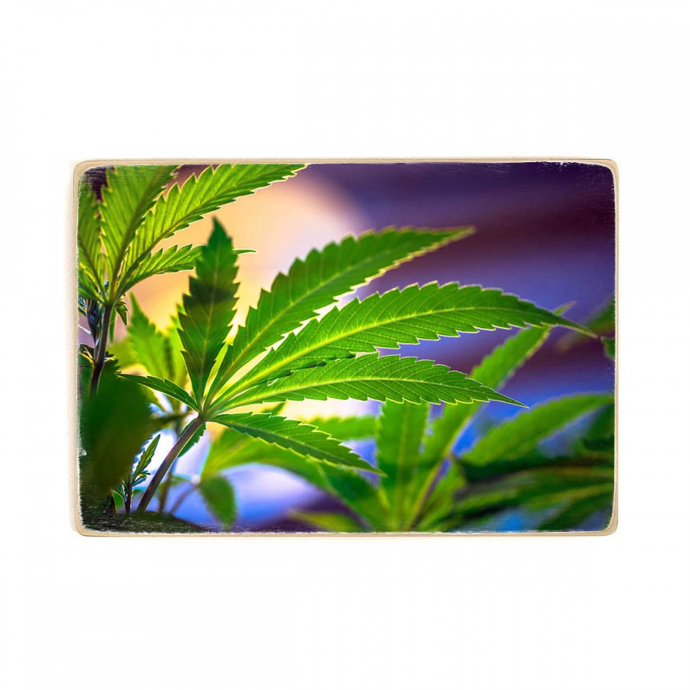 

Деревянный постер Природа Cannabis Leaf А1